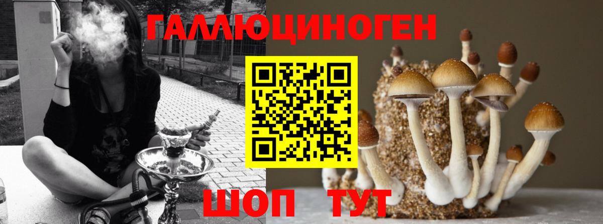 наркотики  Галлюциногенные грибы мухоморы  Вход с VPN  Петровск 